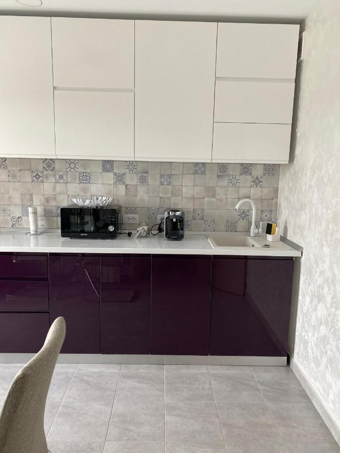 Dina Lux Iasi Apartment エクステリア 写真