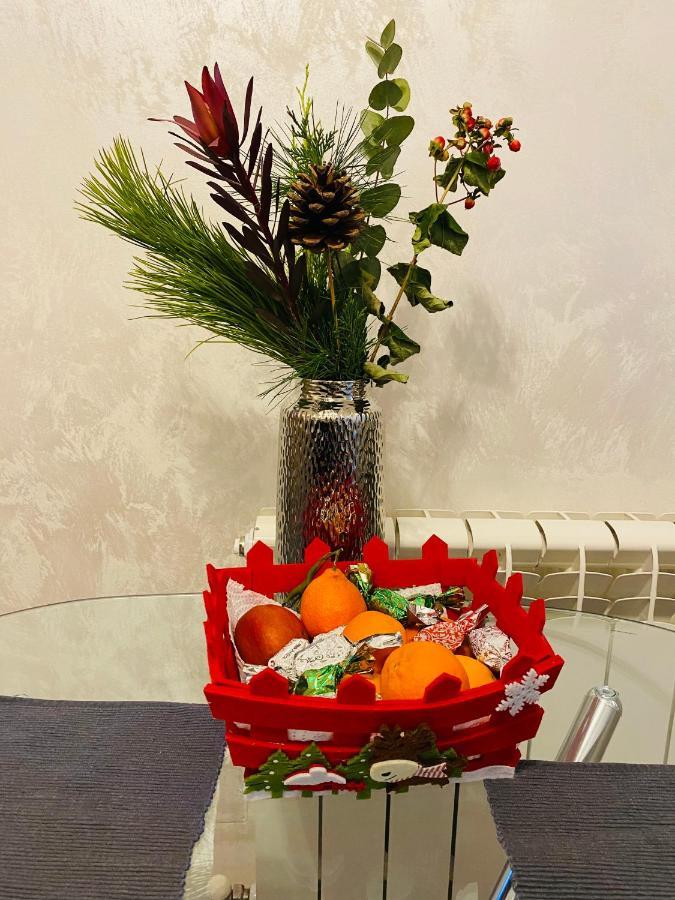 Dina Lux Iasi Apartment エクステリア 写真