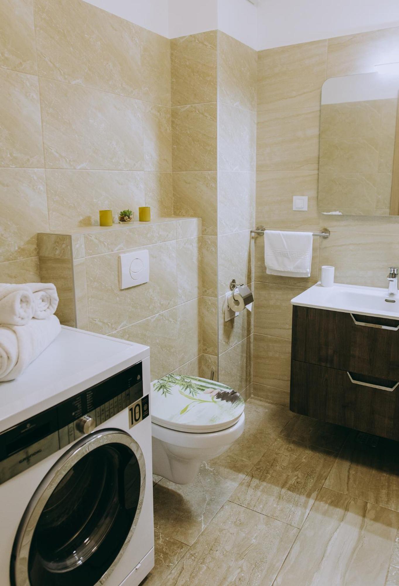 Dina Lux Iasi Apartment エクステリア 写真